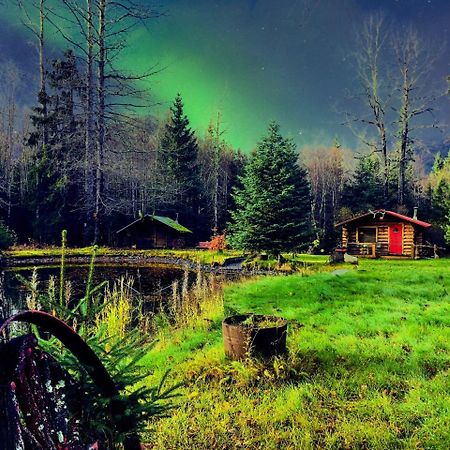 Hope Alaska'S Bear Creek Lodge Dış mekan fotoğraf