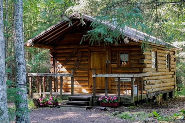 Hope Alaska'S Bear Creek Lodge Dış mekan fotoğraf
