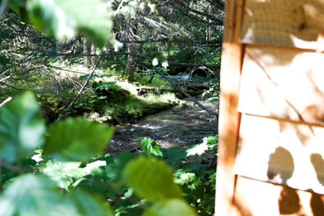 Hope Alaska'S Bear Creek Lodge Dış mekan fotoğraf