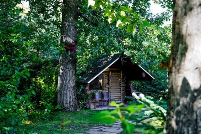 Hope Alaska'S Bear Creek Lodge Dış mekan fotoğraf